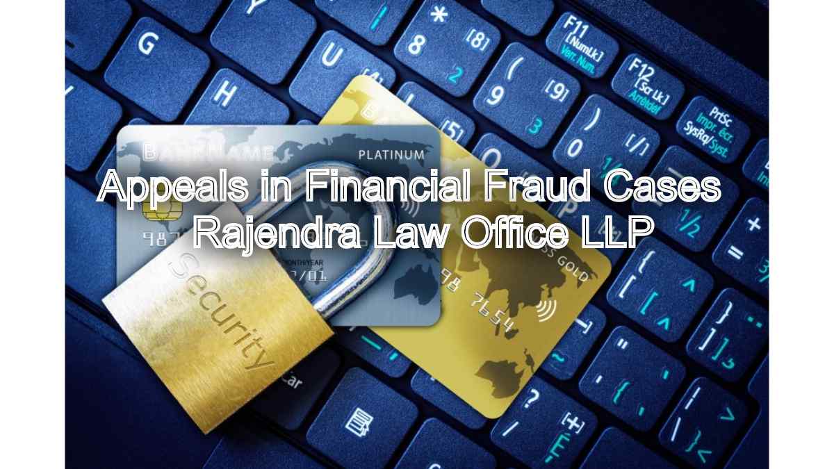 Appeals in Financial Fraud Cases: Handling financial fraud appeals